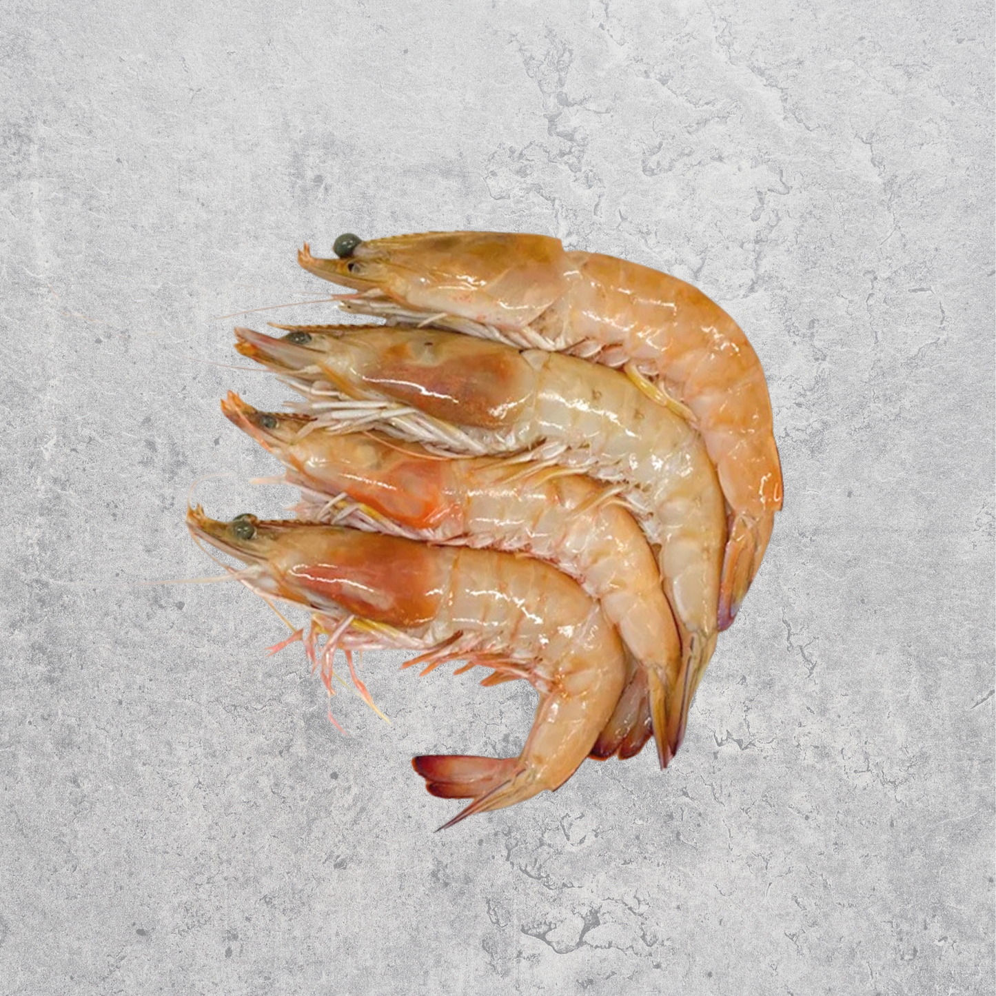 Large Australian king prawns, raw, close-up.