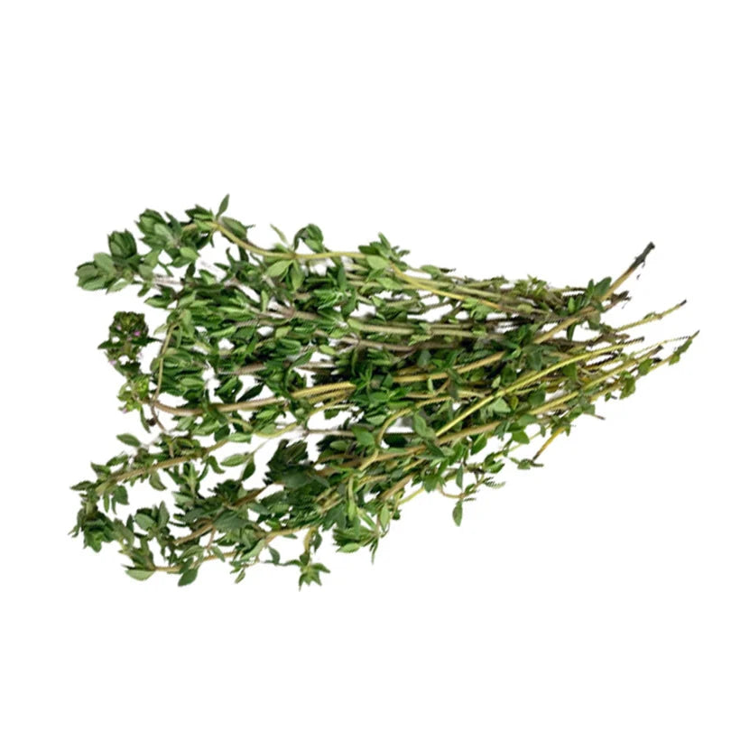 Fresh Australian Thyme