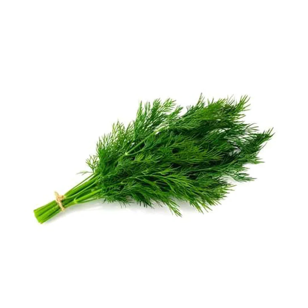 Fresh Dill - 50gm (bunch)