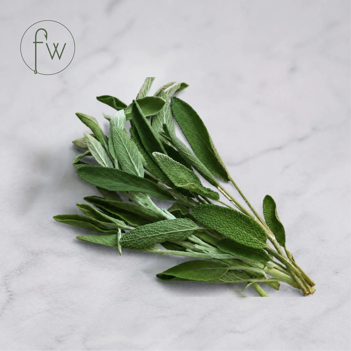 Fresh Sage (50g, Bunch)