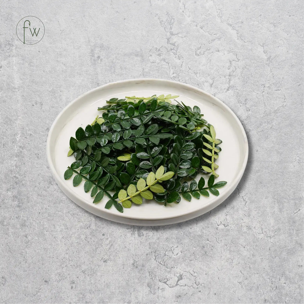 A pile of fresh green leaves, including small oval-leaf varieties and leafier greenery, arranged on a round off-white ceramic plate against a textured light gray background.
