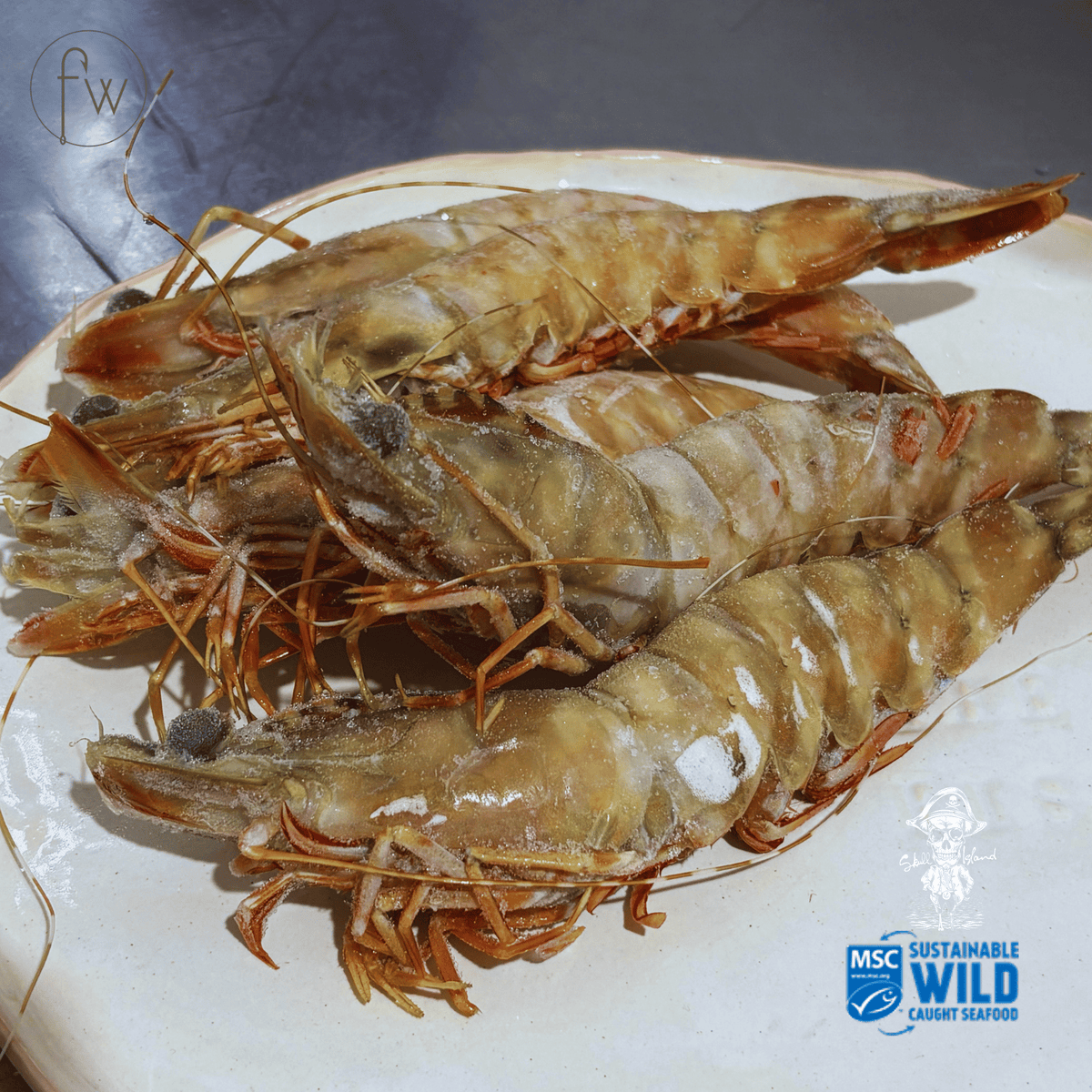 Skull Island Prawns - Snap Frozen