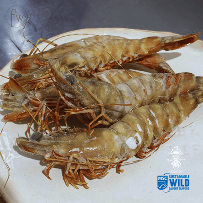 Skull Island Prawns - Snap Frozen