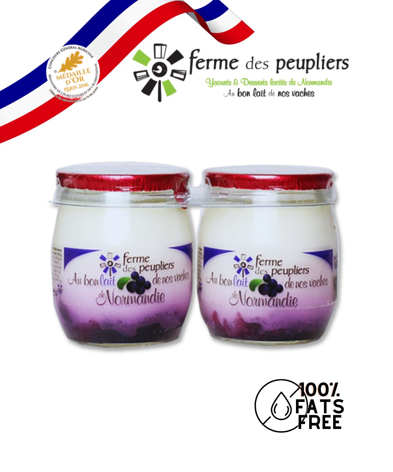 Peupliers Blueberry Yoghurt  – 0% Fat, French Artisan Dairy