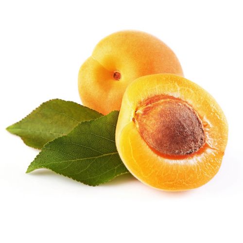 Fresh Apricots (8 pcs per Tray)