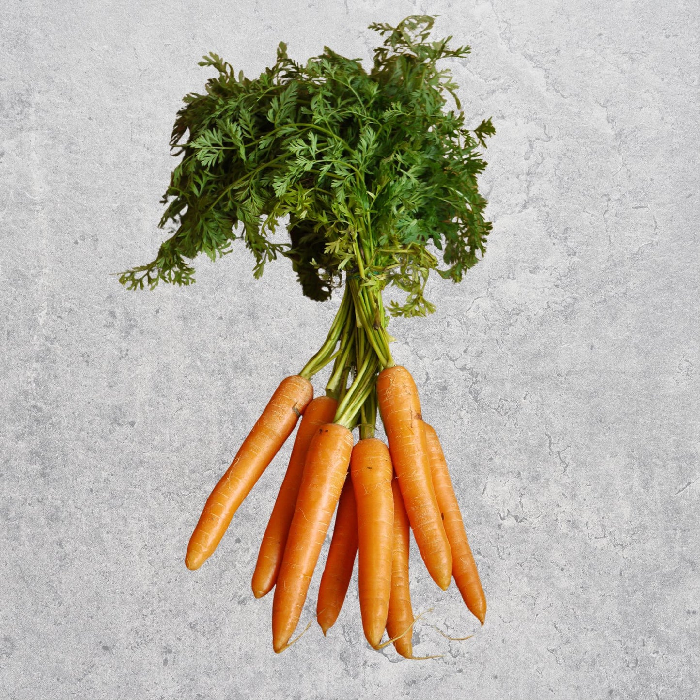 Baby Carrots (10 PCS)