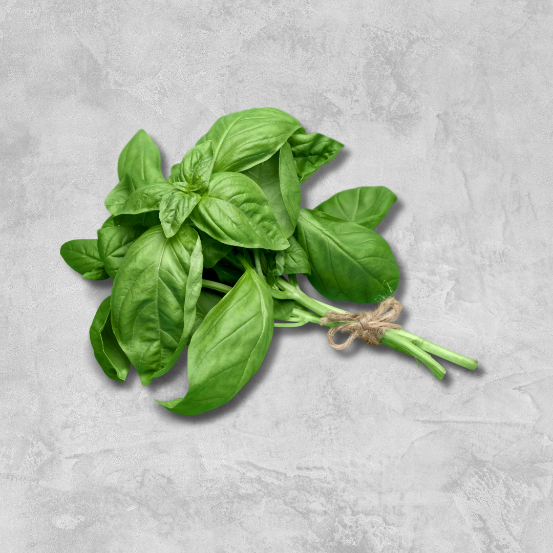 Fresh Basil - 50gm (bunch)