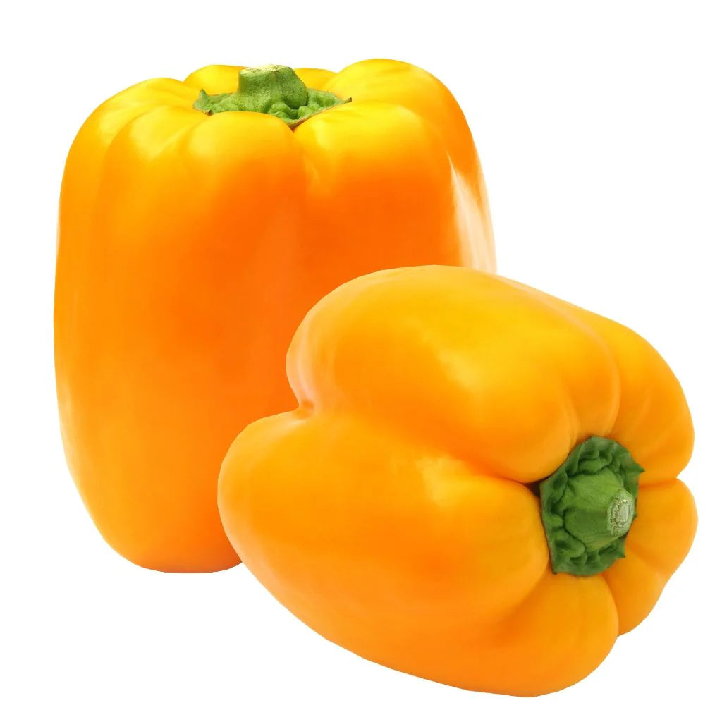 Capsicum - Yellow (1 pc)