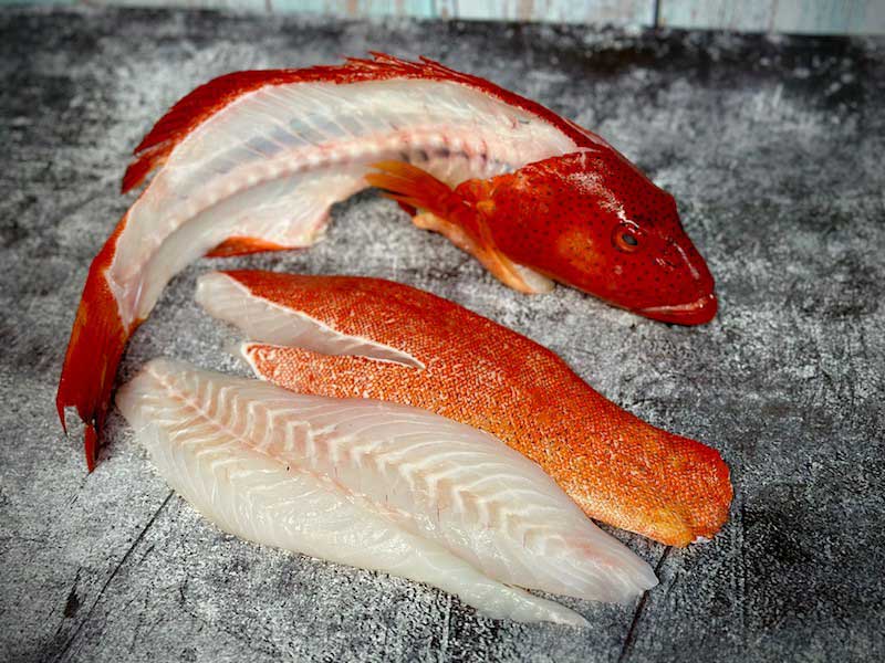 **FROZEN** - Wild Caught Coral Trout Fish Bones - +/- 500gm - Fantastic for Stock!