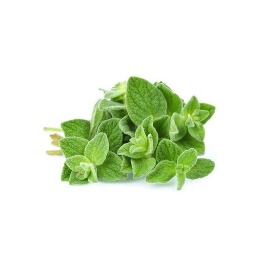 Fresh Oregano - 50 gm (pkt)