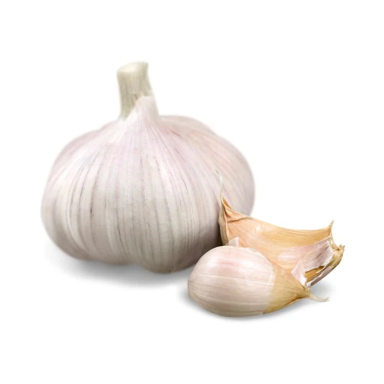 Fresh Garlic - 1 head