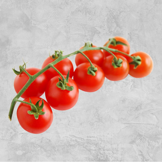 Honing Cherry Tomato On Vine