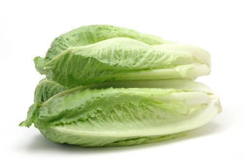 Fresh Australian Lettuce - Cos - Baby (Twin Pack)