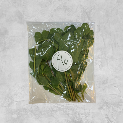 Fresh Spearmint - 50g (bunch)