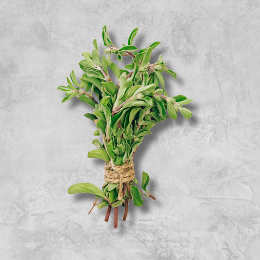 Fresh Oregano - 50 gm (pkt)