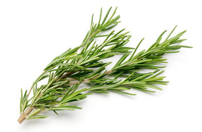 Fresh Rosemary - 50gm (bunch)