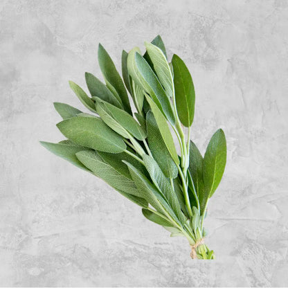 Fresh sage sprigs on a light background.