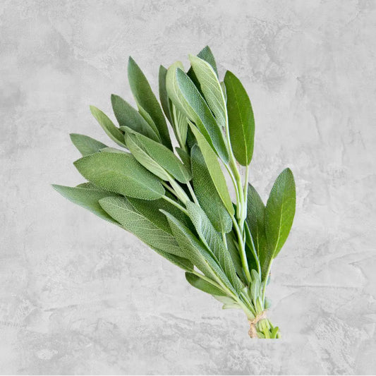 Fresh sage sprigs on a light background.