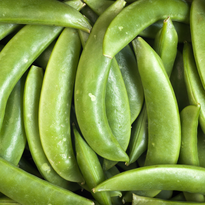 Sugar Snap Peas 120g