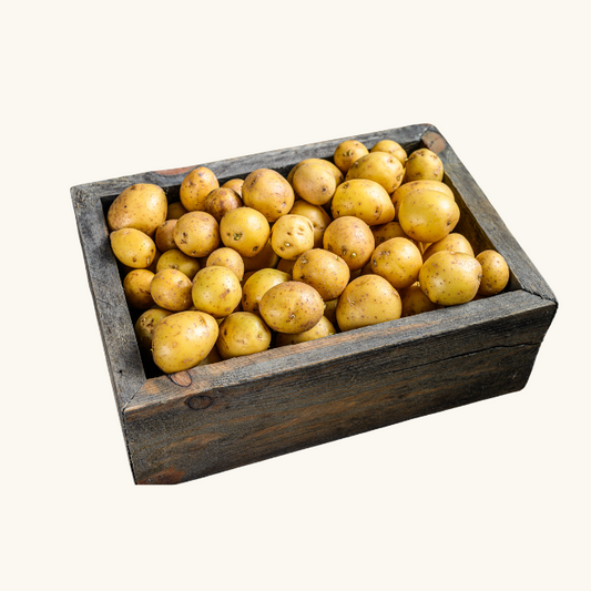 Fresh Cocktail Premium Potatoes