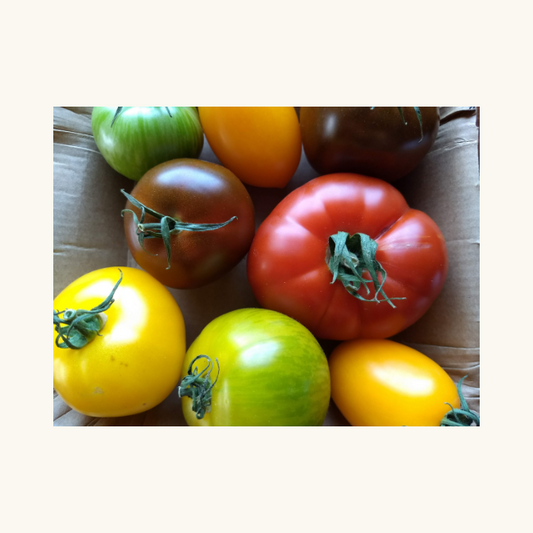 Fresh Australian Heirloom Tomatoes Medley