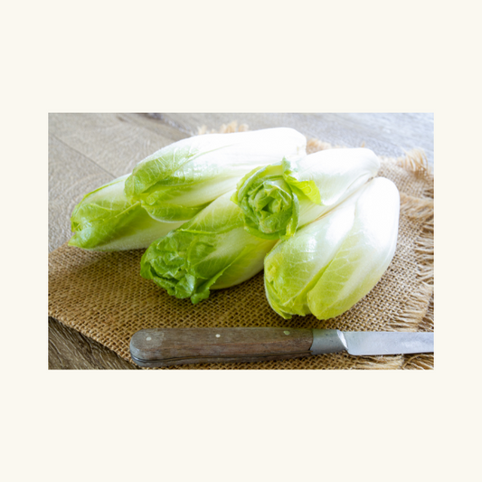 Fresh Yellow Endive