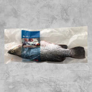 Fresh Whole Barramundi (+/- 600g - 700g) - (2 days notice required)