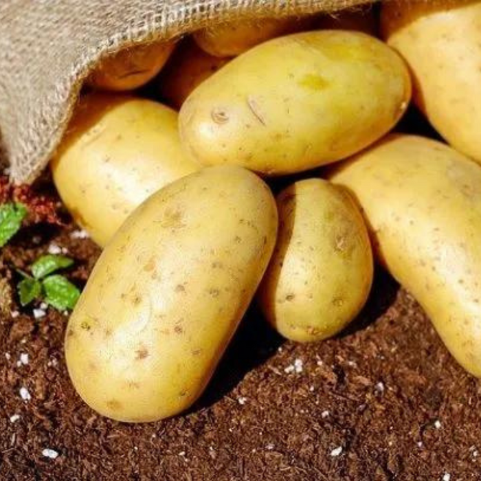 Organic Australia Potatoes 500g+/-
