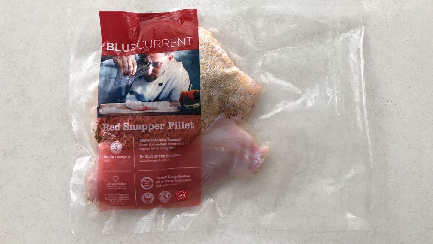 Fresh Red Snapper Fillets (+/- 400g) - BluCurrent